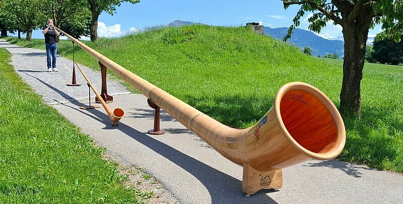 Alphorn 14m-1